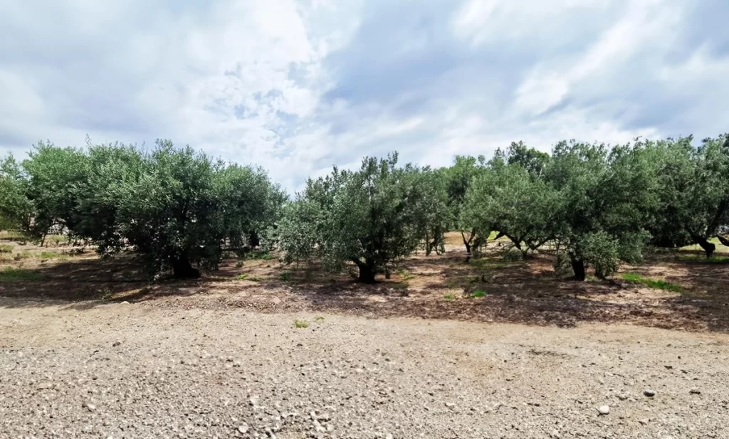 ferme expérimentale Dropson